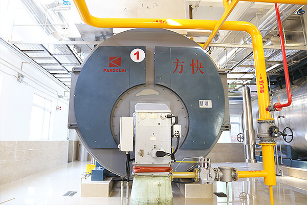 利民制藥有限公司4蒸噸一體燃?xì)庹羝仩t項(xiàng)目