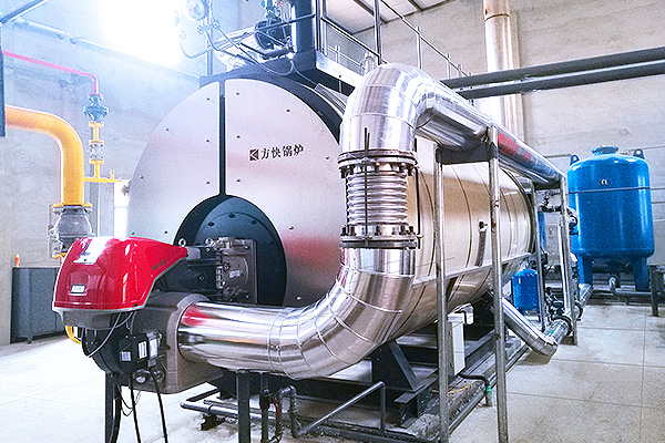 北京雙鷺藥業(yè)股份有限公司1噸分體冷凝蒸汽鍋爐項目