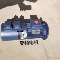 沈陽起重機(jī)電機(jī)-三合一運(yùn)行電機(jī)運(yùn)行平穩(wěn)