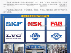 河南勇飛軸承有限公司已加入《起重匯采購指南》!