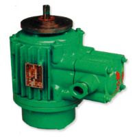 成都起升電機高品質