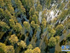 武漢新洲:漲渡湖濕地保護區掛牌生態環境司法修復基地示范點