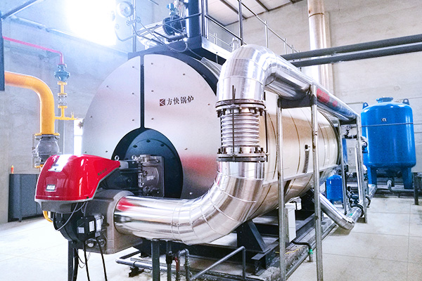 嘉峪關(guān)燃?xì)忮仩t廠家